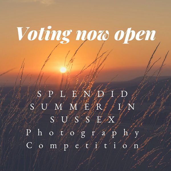 Voting now open